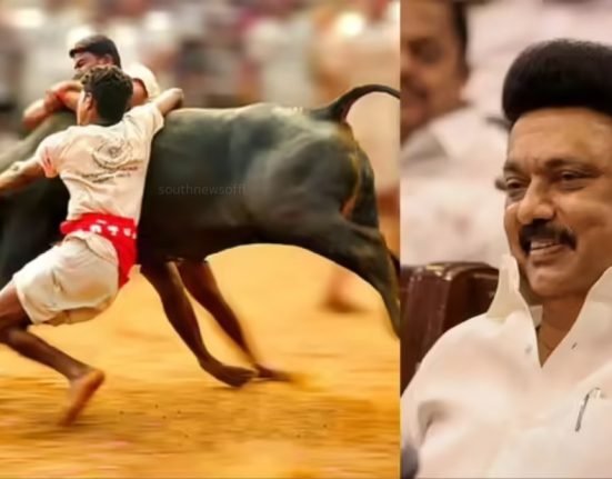 MK Stalin jallikkattu