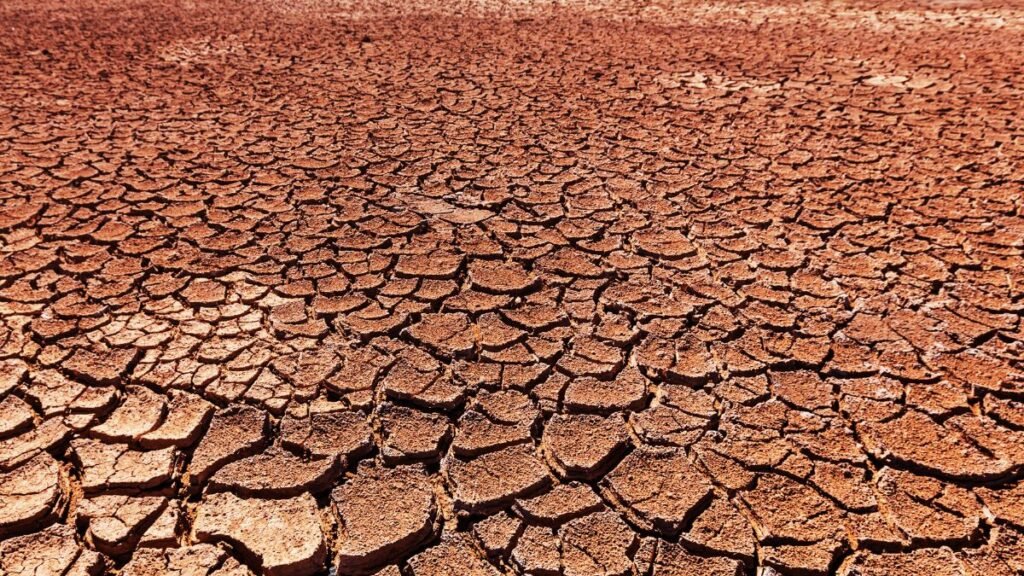 South News 2026 04 11T173024.074